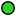 Green filled circle