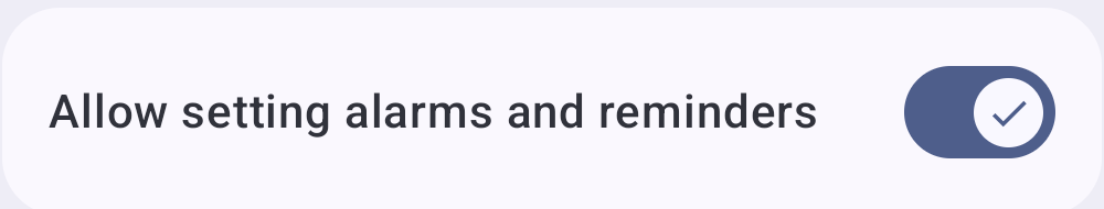 Android's Allow setting alarms and reminders toggle switched on